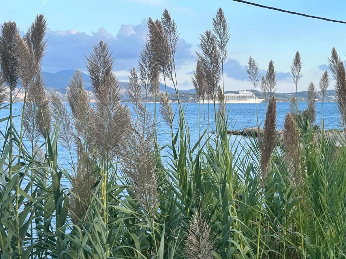 Apollonides Seafront Villa1 Aoede Lixouri Buitenkant foto