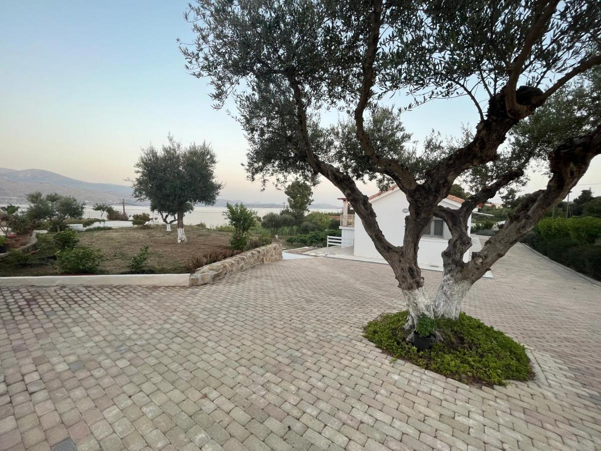Apollonides Seafront Villa1 Aoede Lixouri Buitenkant foto