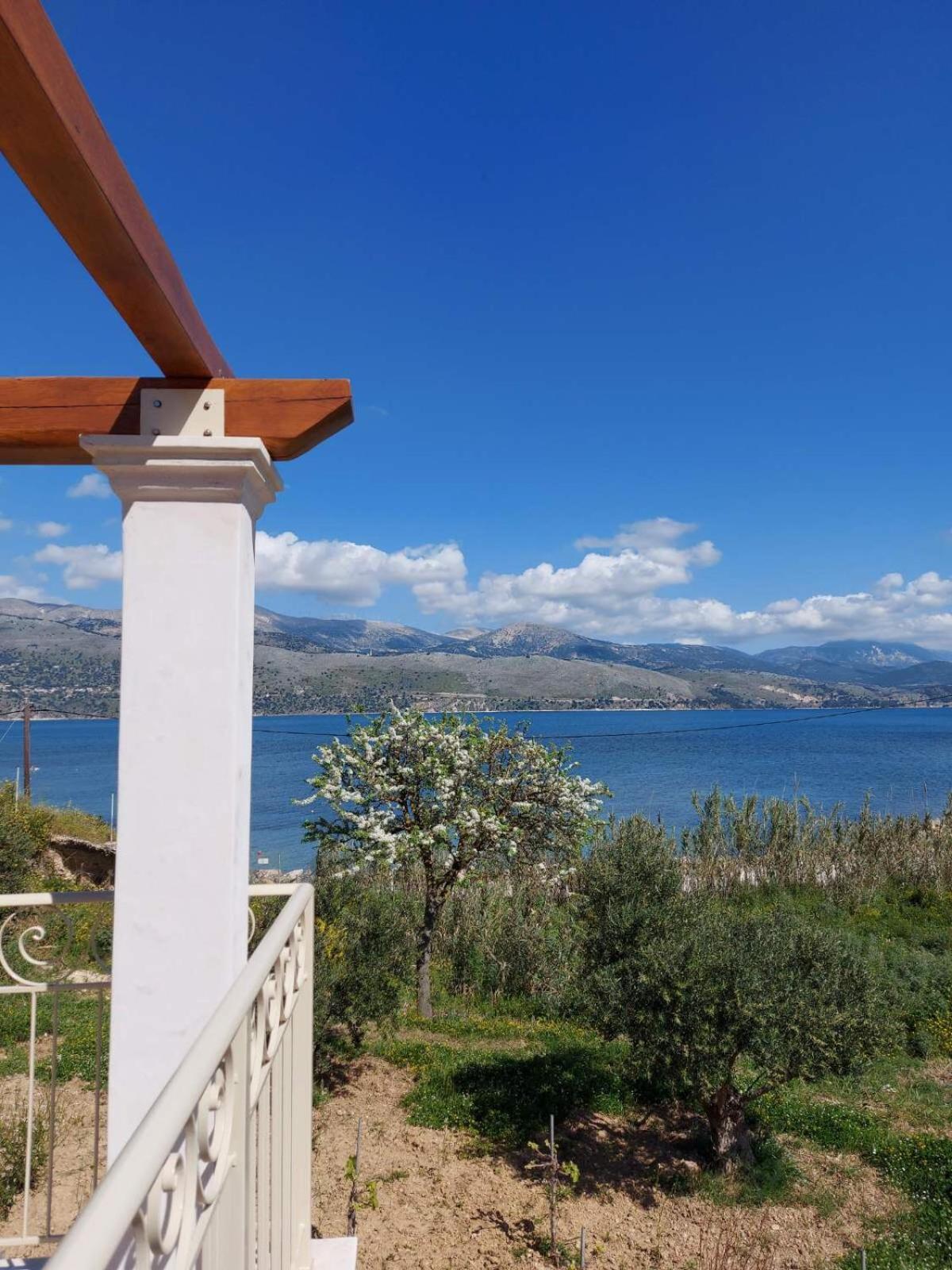 Apollonides Seafront Villa1 Aoede Lixouri Buitenkant foto