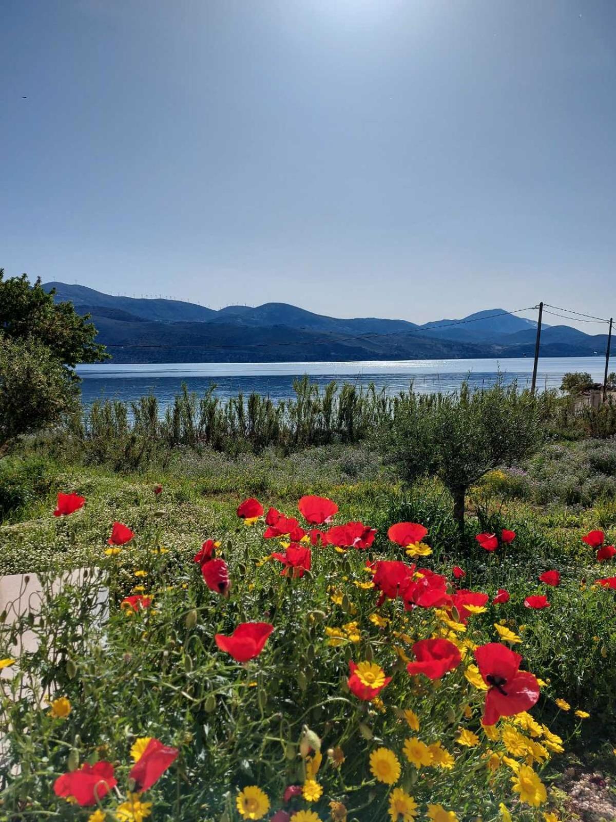 Apollonides Seafront Villa1 Aoede Lixouri Buitenkant foto